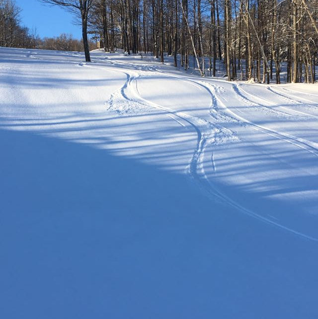 Join as a brand new 2027 BCCST Member